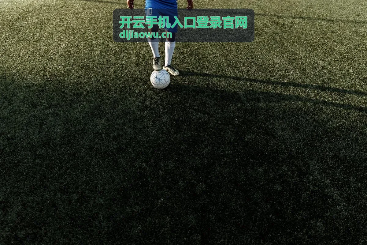 开云手机入口登录官网 - 输入官方地址访问
